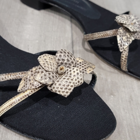 Nwob Antonio Bossi reptile slides 11M - Picture 2 of 6